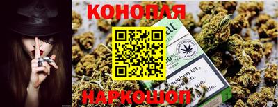apvp Гатчина